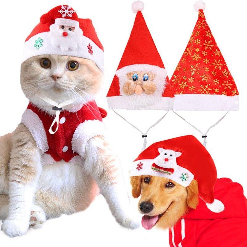 Your Pet Will Love A Christmas Gift